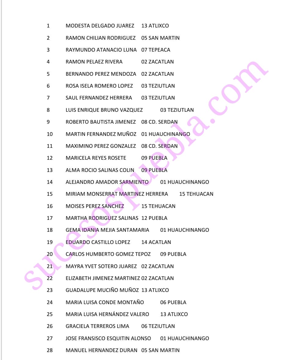 Más de 30 en la lista de aspirantes a candidatos a diputados federales por Morena