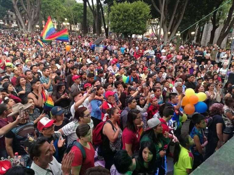 Historia de la Ley Agnes