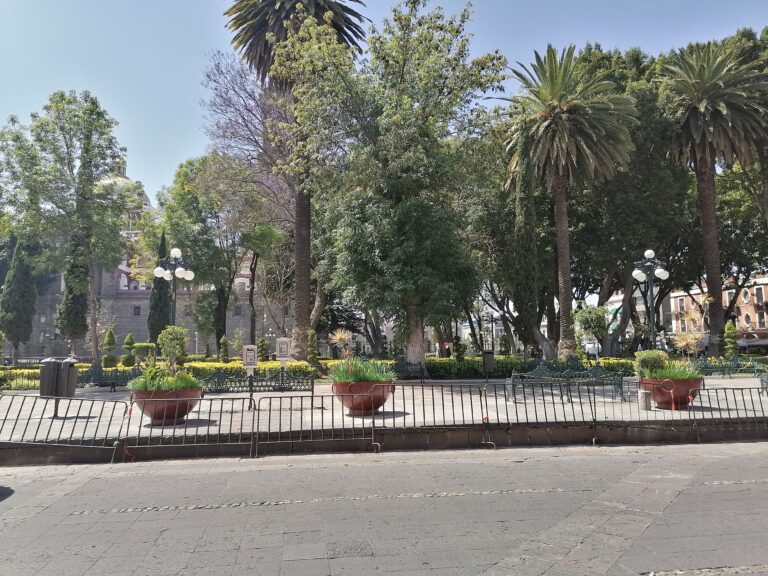 Advierten comercios bajas ventas por remodelación del Zócalo