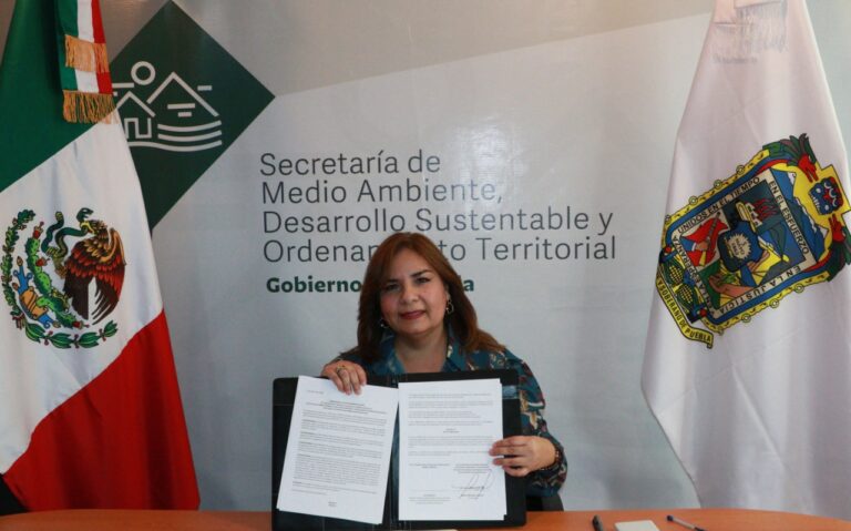 Garantiza Gobierno del Estado cuidado al medio ambiente con plan transversal: MBH