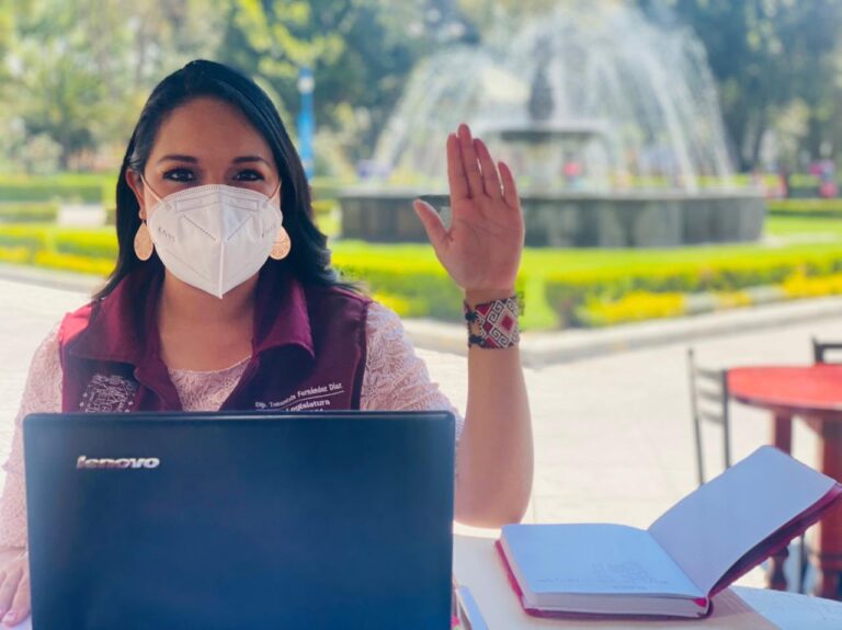 La morenista Tonantzin Fernández se defiende tras acusaciones de Irene Noriega