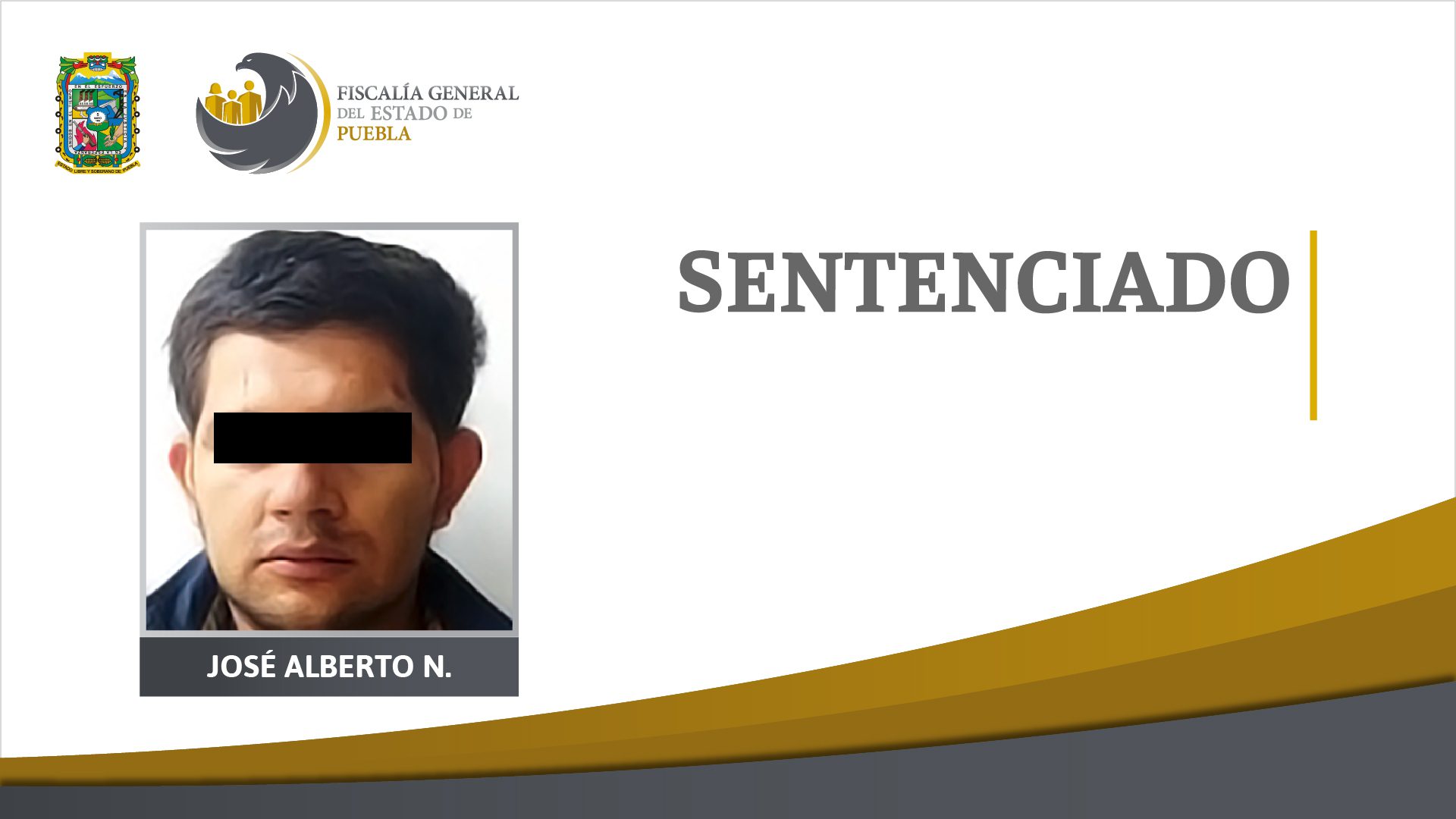 Como Matar Una Planta Sin Que Se Note