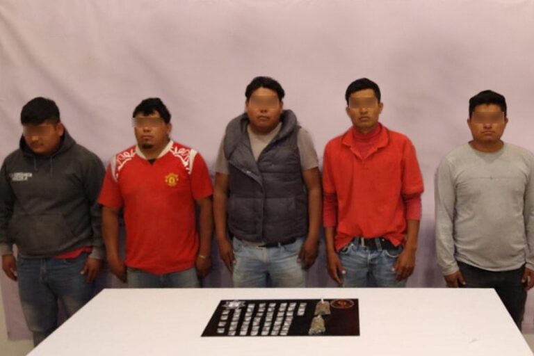 Capturados presuntos asaltantes de granjas en Tepanco de López