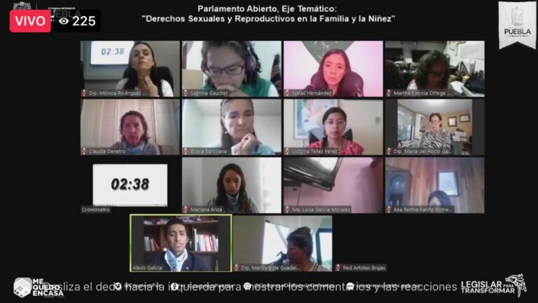 Finaliza segundo eje temático del Parlamento Abierto sobre Derechos Sexuales, Reproductivos y Aborto Legal