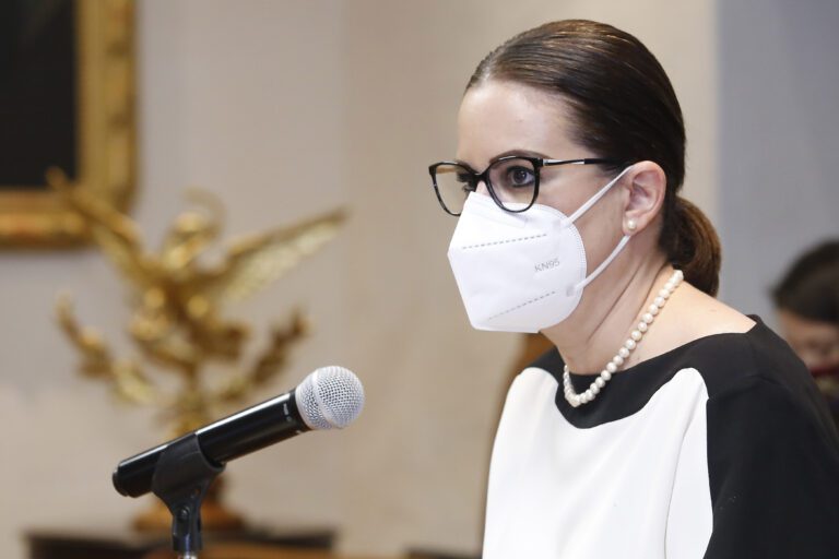 Han fallecido 660 migrantes poblanos por COVID-19: SEGOB