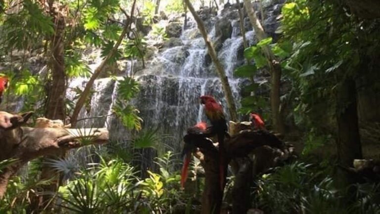 Muere niño en Xcaret; acusan negligencia