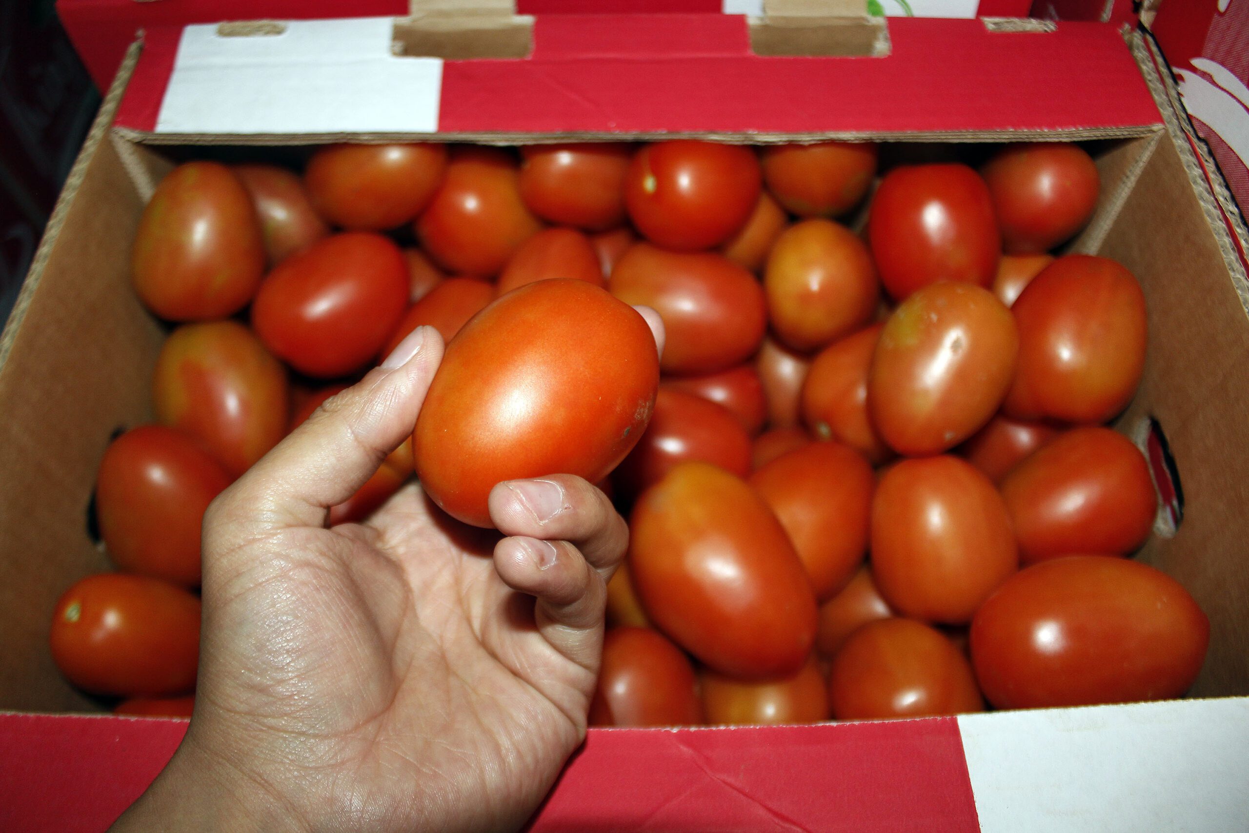 En Sierra Norte, SDR entrega certificado de buenas prácticas agrícolas (4)