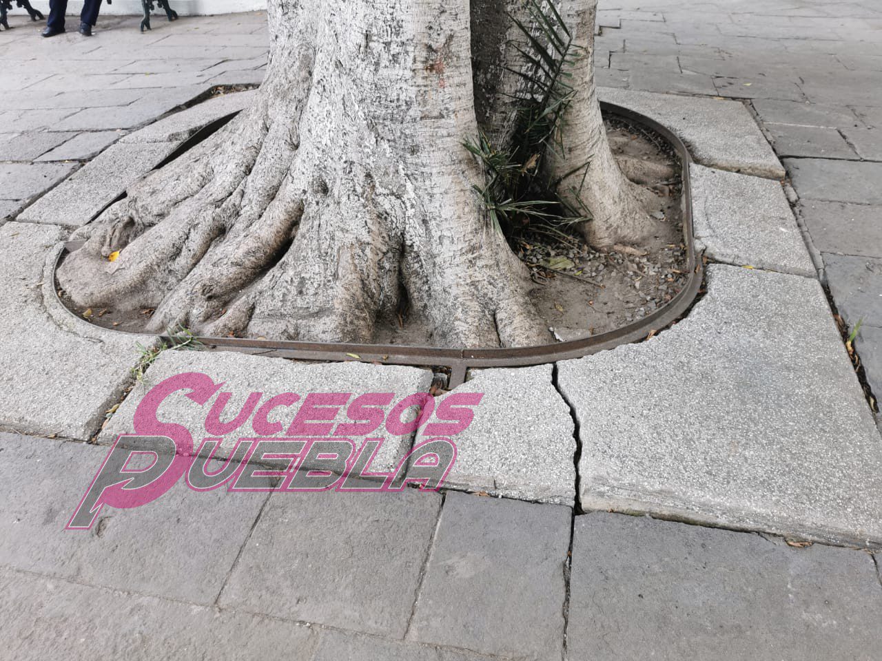 SEDATU entrega un zócalo con defectos, albañiles, lajas quebradas y en obra