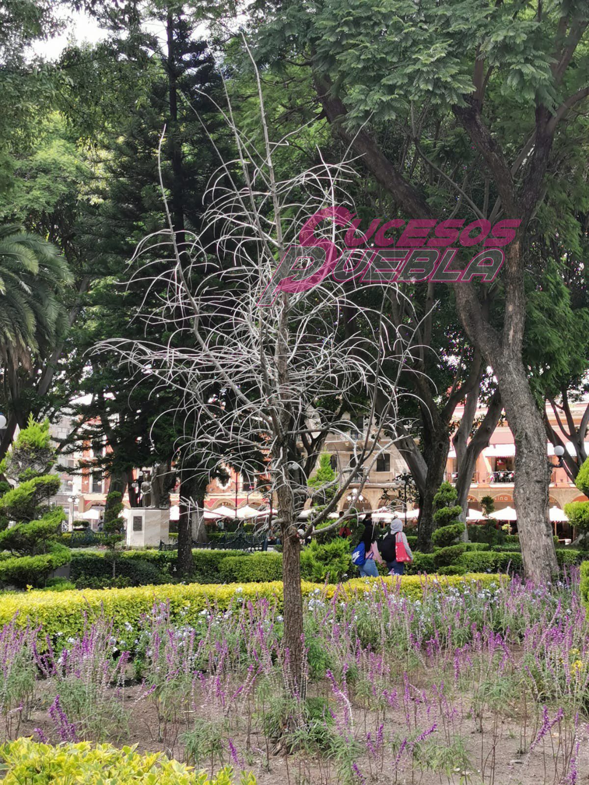 SEDATU entrega un zócalo con defectos, albañiles, lajas quebradas y en obra