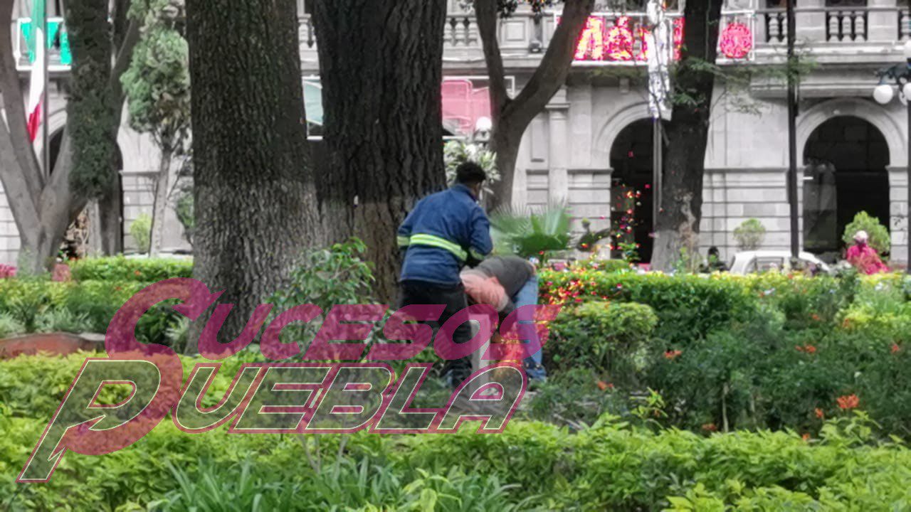 SEDATU entrega un zócalo con defectos, albañiles, lajas quebradas y en obra