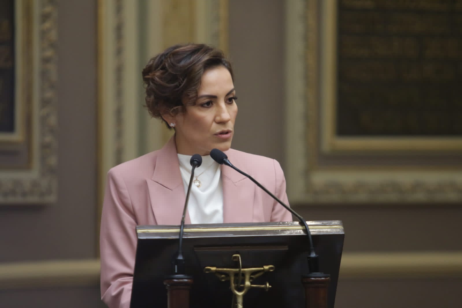 Iniciativa de Barbosa para titular de ASE “sin dedicatoria”: Mónica Silva