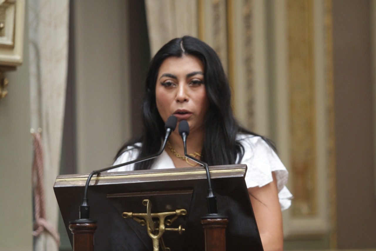 Recibe Congreso iniciativas en favor del cuidado de la salud mental