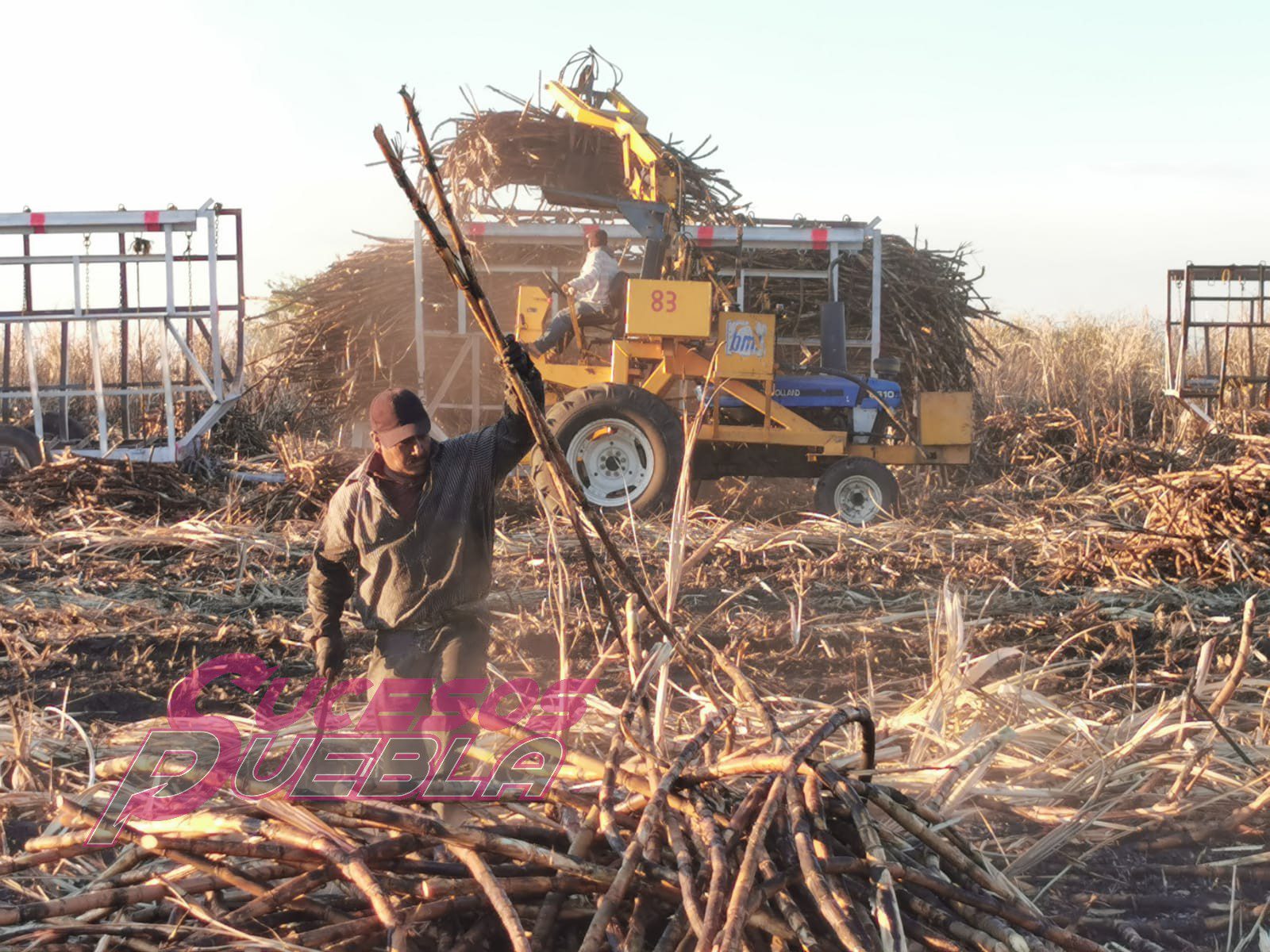 Arranca la zafra 2021-22 con el reto de industrializar 1 millón 734 mil toneladas de caña