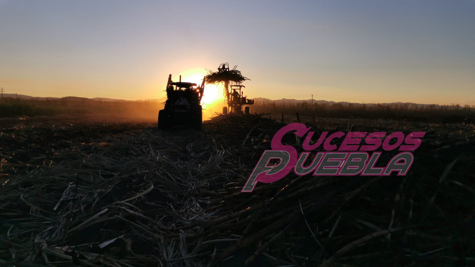 Arranca la zafra 2021-22 con el reto de industrializar 1 millón 734 mil toneladas de caña