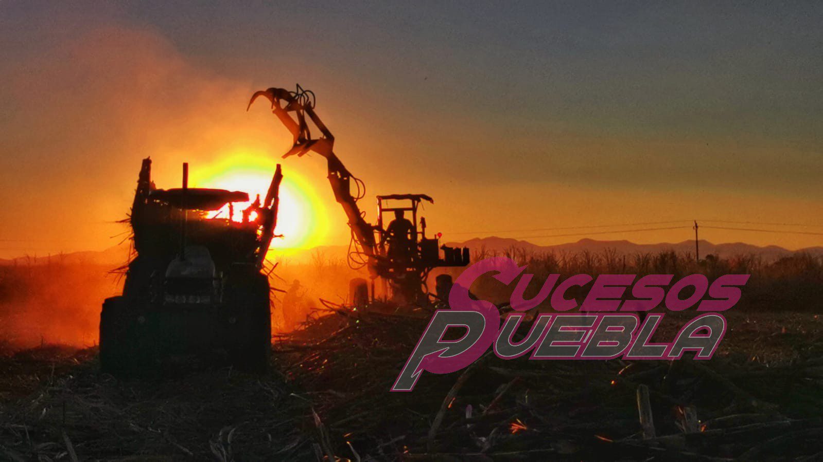 Arranca la zafra 2021-22 con el reto de industrializar 1 millón 734 mil toneladas de caña