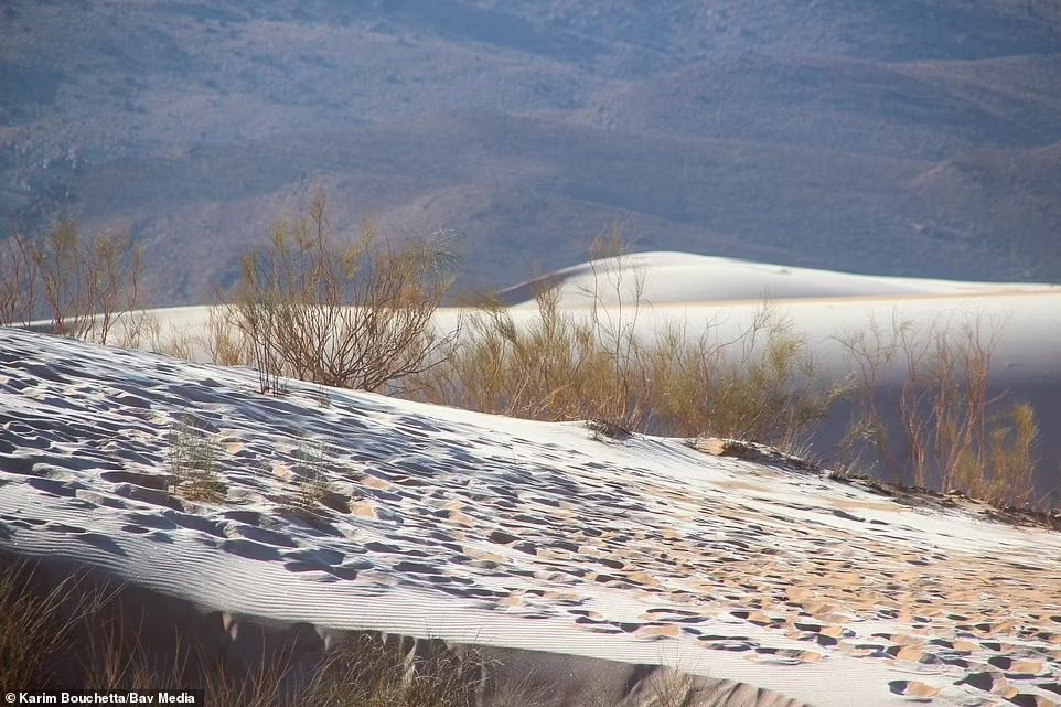 FOTOS: nevada pinta de blanco dunas del Sáhara