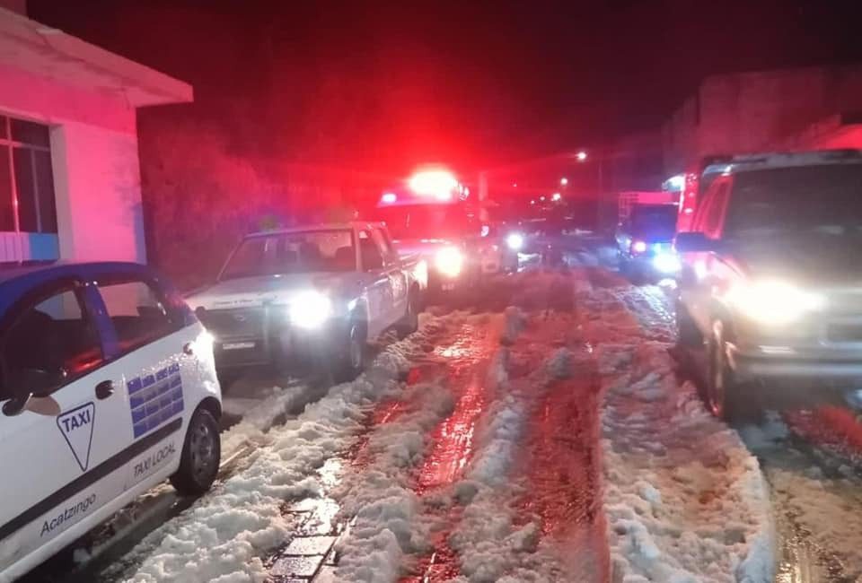 Granizada daña cultivos de nopal y tuna en Acatzingo; SDR atiende los daños