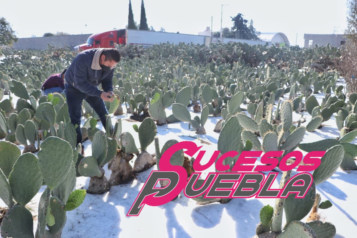 Granizada azota ahora Acatzingo