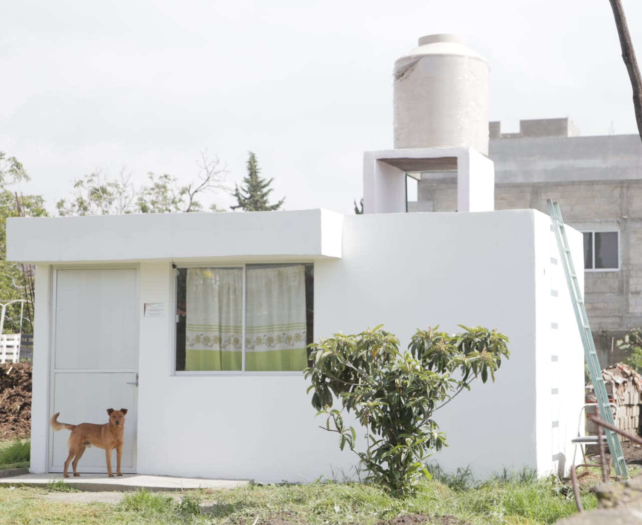 Ejecuta Bienestar programa Cuarto Dormitorio en Tlahuapan