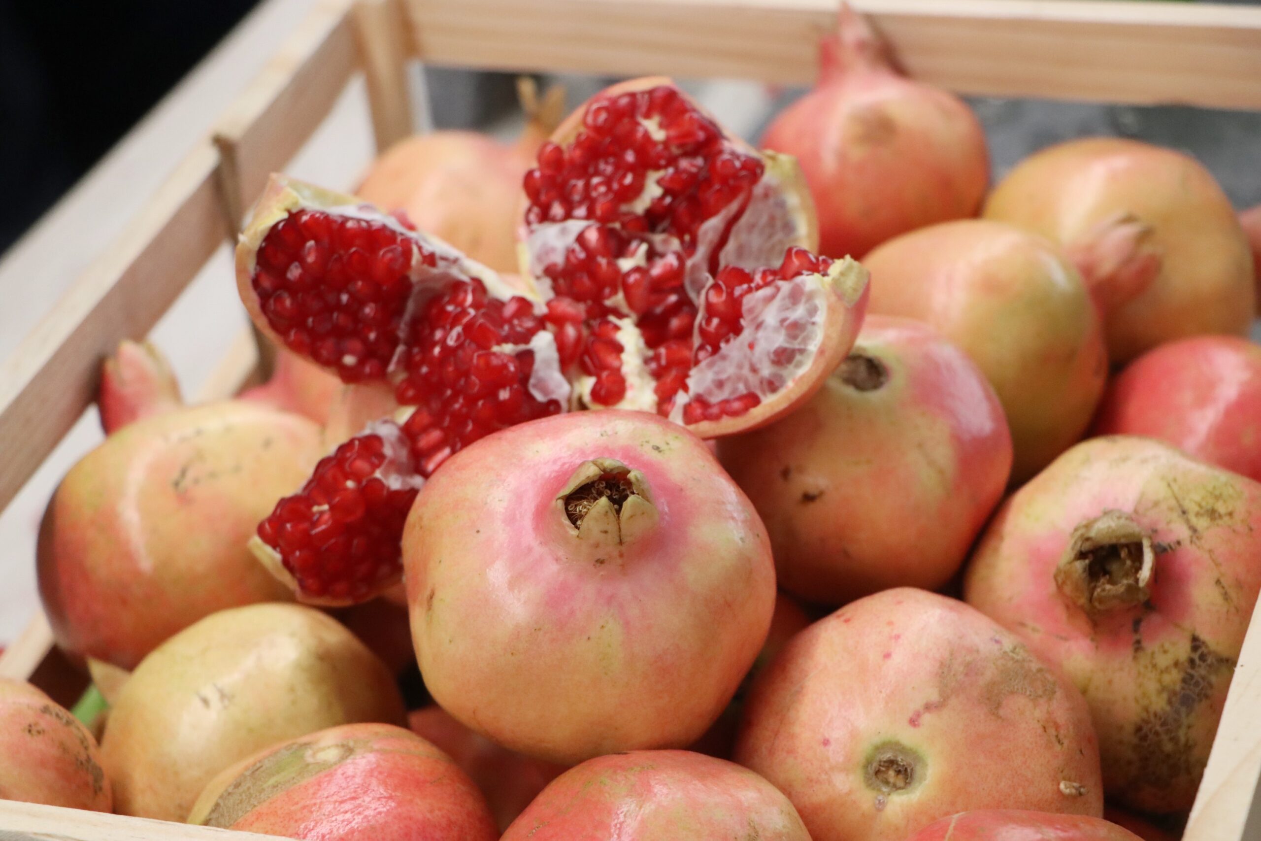 Vinculan SDR y Economía a productores de ingredientes de Chile en Nogada con empresarios