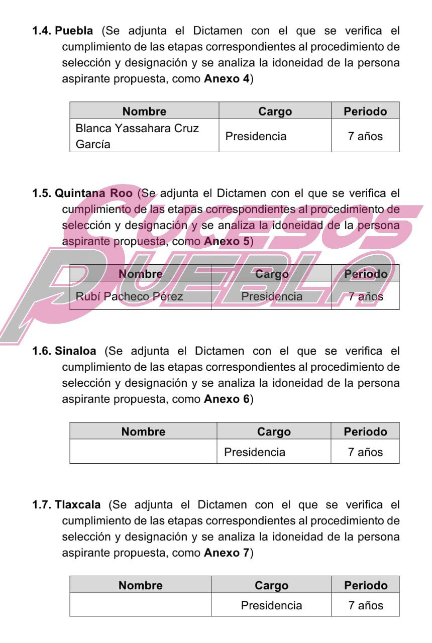 Avala INE Puebla nombramiento de Blanca Yassahara Cruz como presidenta del IEE