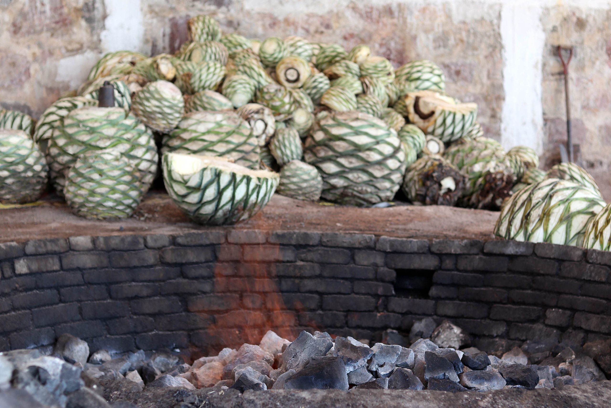 Por vinculación de SDR, mezcal poblano llega a Nueva York