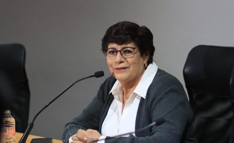 Personas ajenas a organizaciones de transportistas incitan a la protesta: Silvia Tanús