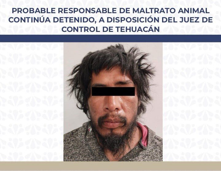 Probable responsable de maltrato animal continúa detenido, a disposición del Juez de Control de Tehuacán
