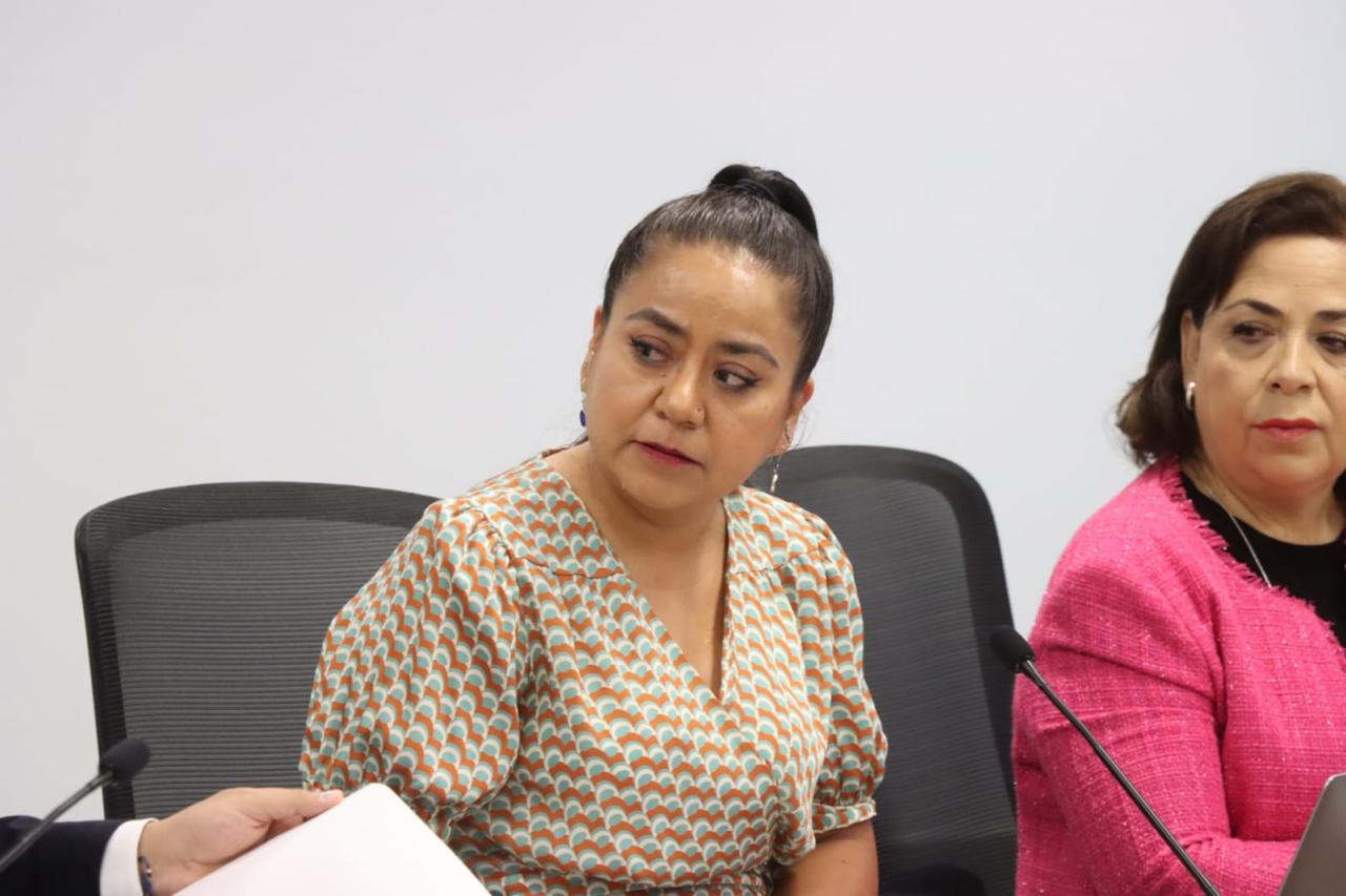 Reporta Comisión del Congreso avances positivos en la encuesta digital dirigida a las ONG