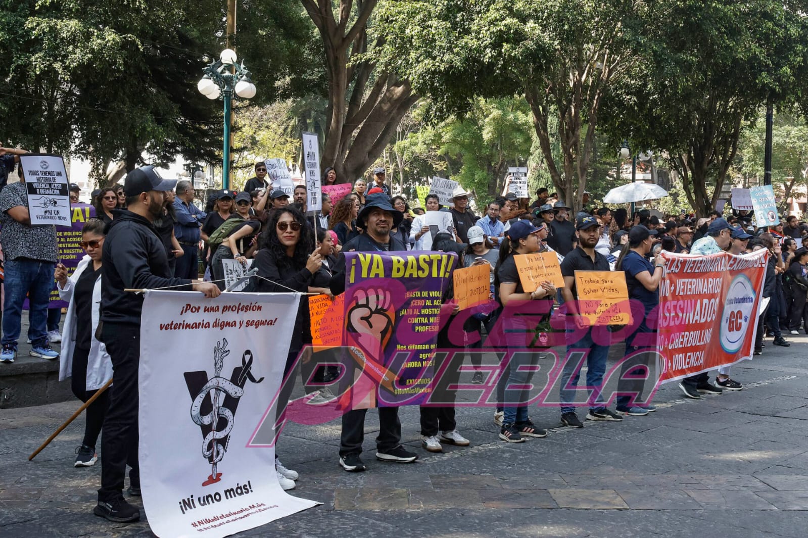 Se manifiestan veterinarios en Puebla, piden alto a la violencia