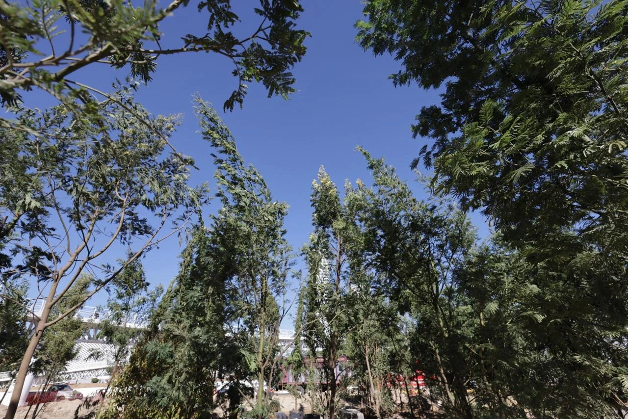 Abre Gobierno de Puebla diálogo con ambientalistas para revisar proyectos ecológicos