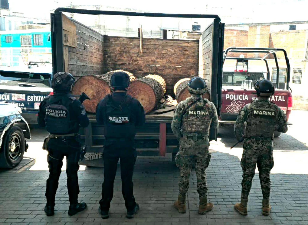 Aseguran Policía Estatal Forestal y Marina camioneta con madera ilegal