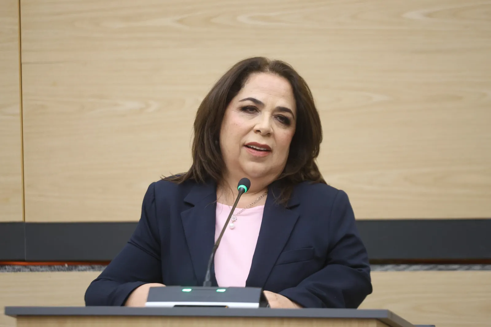 Diputada Soledad Amieva propone inclusión laboral en centros penitenciarios para reducir reincidencia