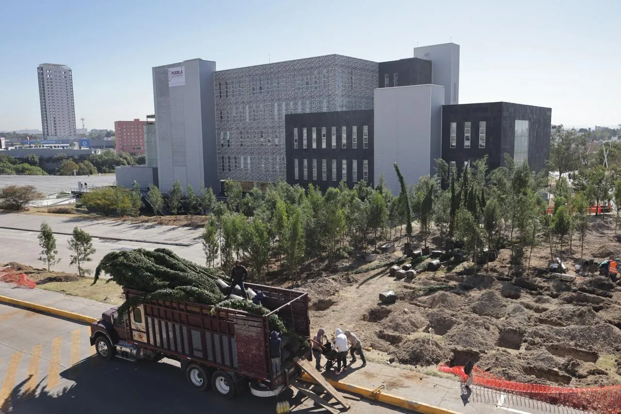 Inicia reforestación urbana en CIS y Parque Ecológico; la meta son 10 mil árboles