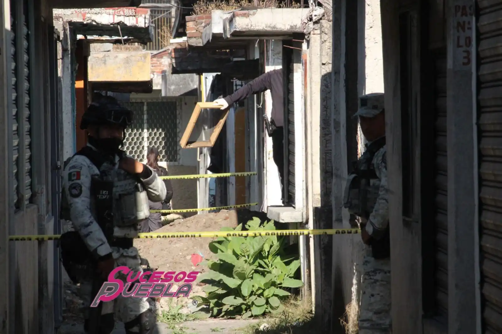 Se intensifican operativos en el Mercado Morelos contra el narcomenudeo y la extorsión