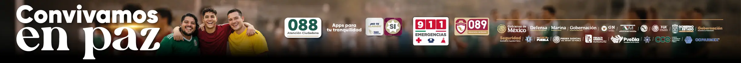 spot_img