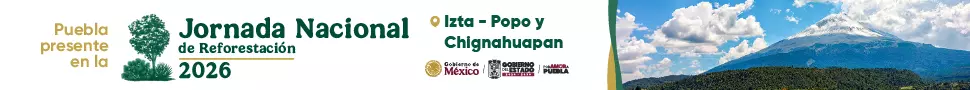 Banner 1
