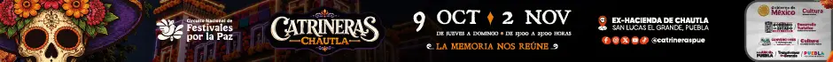 spot_img