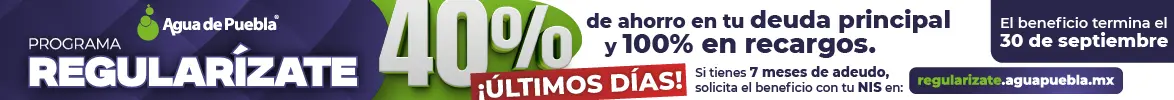 spot_img