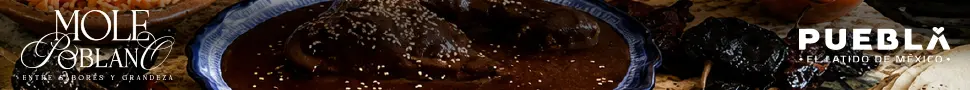 spot_img